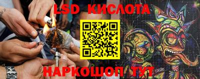 jwh Будённовск