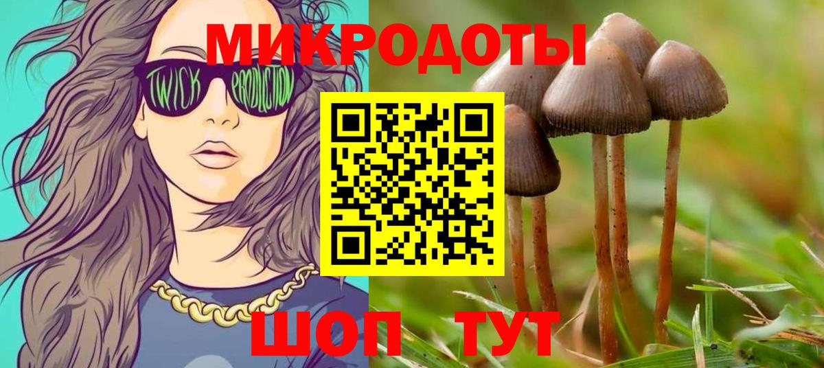 Кропоткин  Галлюциногенные грибы прущие грибы  Вход с VPN 